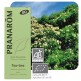 Huile essentielle Tea tree Pranarom 10 mL