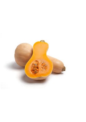 COURGE BUTTERNUT KG
